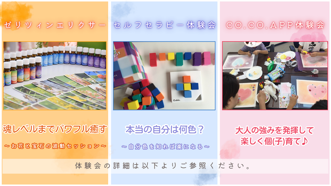 体験会まとめ表